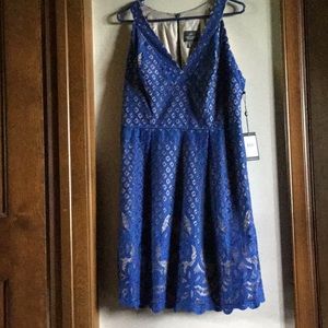 Blue lace Adrianna papell summerdress- size 12